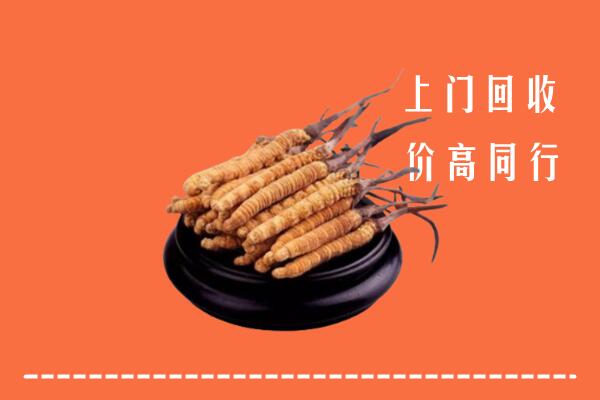 高价求购：石鼓区回收散虫草