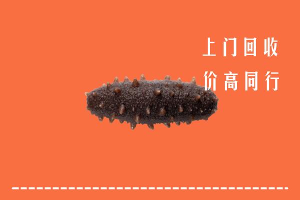 高价求购：石鼓区回收海参
