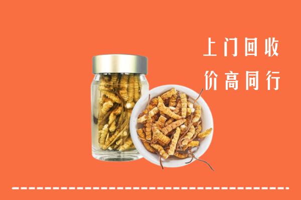 石鼓区回收冬虫夏草