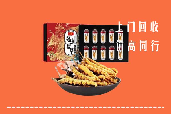 石鼓区回收虫草
